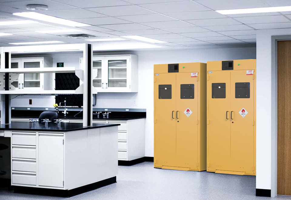 Gas Cylinder Cabinet